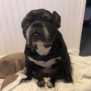 Meet your Posher, Grace